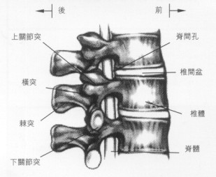 圖一