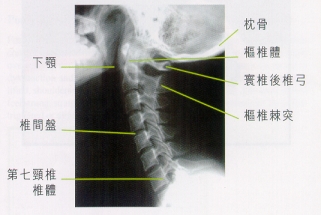 圖一