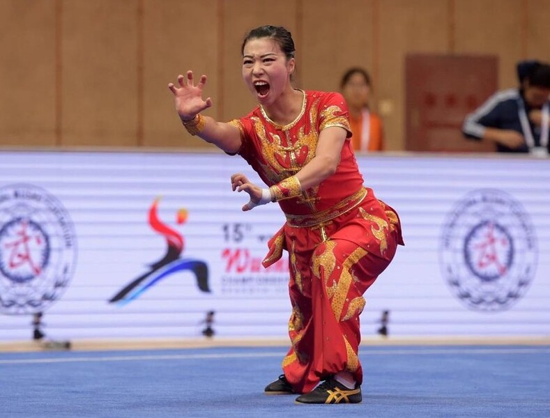 He Jianxin&nbsp;(photo: Hong Kong Wushu Union)